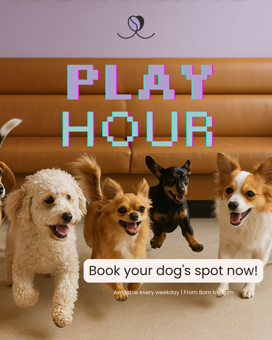 Play Hour